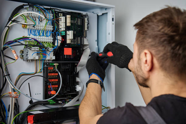 Licensed Electrical Panel Upgrade service in Centreville, MI - No Joke electrician